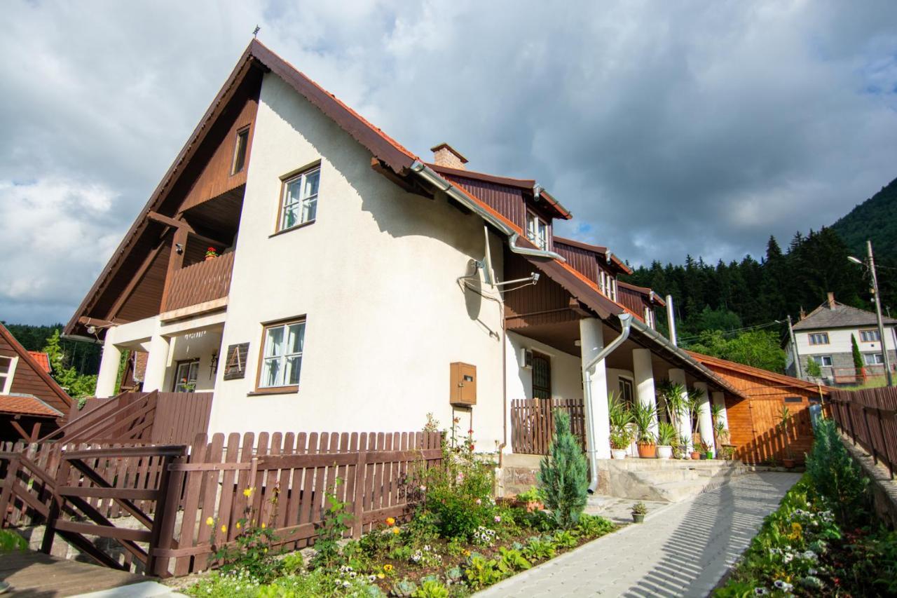 Pension Csomad Беїле-Тушнад Екстер'єр фото